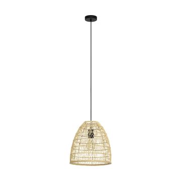 Lampă cu pendul AYESGARTH 43866 1x40W/E27 IP20 de la Eglo