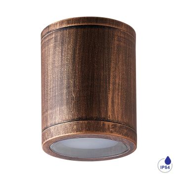 Lumină montată pe suprafață MOPTI 48333 1x12W/E27 IP54 de la Prezent