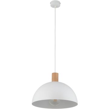 Lampă cu pendul OSLO 4851 1x15W/E27 de la TK Lighting