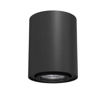 Lumină montată pe suprafață Point 1258 1x10W/GU10 IP20 de la Antigo