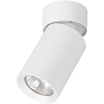 Lumină montată pe suprafață FLEX 59026 1x10W/GU10 de la Alfa