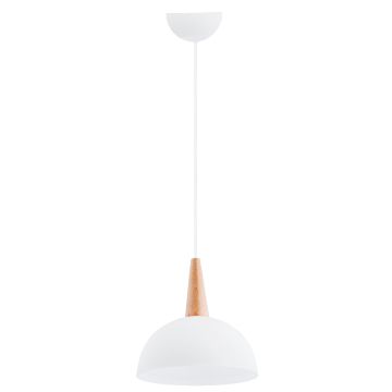 Lampă cu pendul ANJA 60873 1x60W/E27 IP20 de la Alfa