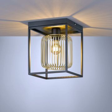 Lampă de tavan Caydo 21294 1x40W/E27 IP20 de la Fischer&Honsel