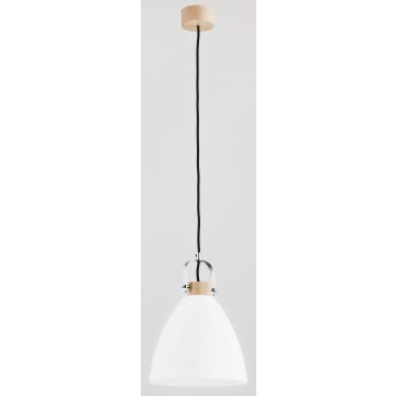 Lampă cu pendul HERMINA 60365 1x60W/E27 IP20 de la Alfa