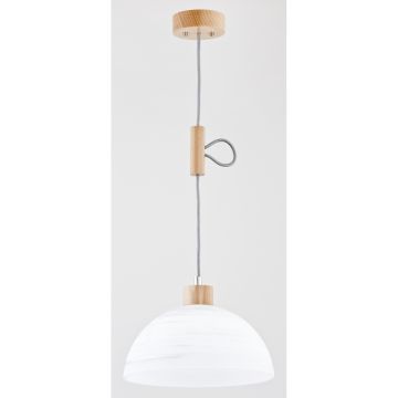 Lampă cu pendul HOLIDAY 2 60349 1x60W/E27 de la Alfa