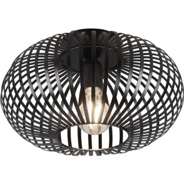Lampă de tavan JOHANN 606903032 1x60w/e27 ip20 de la Trio