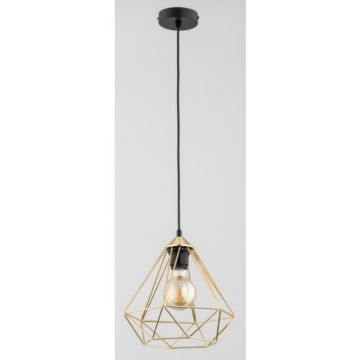 Lampă cu pendul KOSMOS 60974 1x60W/E27 IP20 de la Alfa