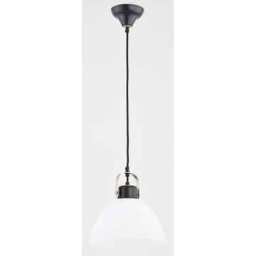 Lampă cu pendul SARBIN 60332 1x60W/E27 de la Alfa