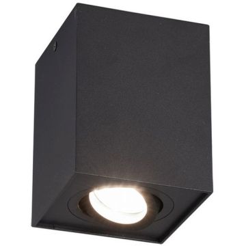 Lumină montată pe suprafață BISCUIT 613000132 1x35w/gu10 ip20 de la Trio