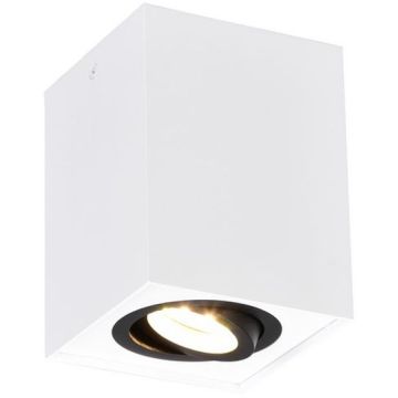 Lumină montată pe suprafață BISCUIT 613000134 1x35w/gu10 ip20 de la Trio