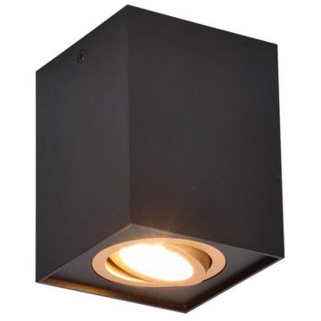Lumină montată pe suprafață BISCUIT 613000180 1x35w/gu10 ip20 de la Trio