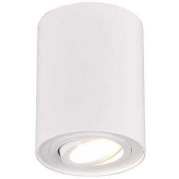 Lumină montată pe suprafață COOKIE 612900131 1x35w/gu10 ip20 de la Trio