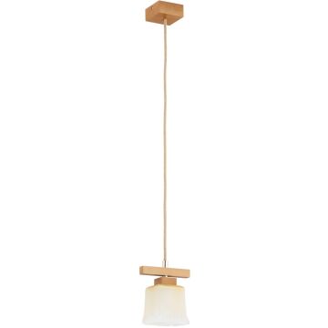 Lampă cu pendul DILARA 61522 1x10W/E14 de la Alfa