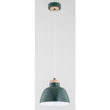 Lampă cu pendul LORIEN 61328 1x15W/E27 IP20 de la Alfa