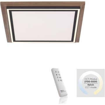 Lampă de tavan PALMA 6141-79 2700-5000k 2x50W/LED 5100lm ip20 de la Paul Neuhaus