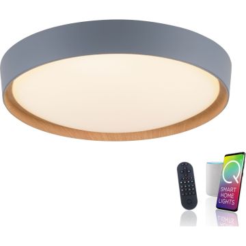 Lampă de tavan Q-EMILIA 6118-15 2700-5000k 1x40W/LED 3720lm ip20 de la Paul Neuhaus
