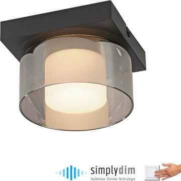 Lampă de tavan RIKA 6162-18 3000k 1x6W/LED 680lm ip20 de la Paul Neuhaus