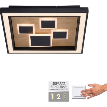 Lampă de tavan ELIZA 6283-79 3000k 1x55W/LED 5760lm ip20 de la Paul Neuhaus