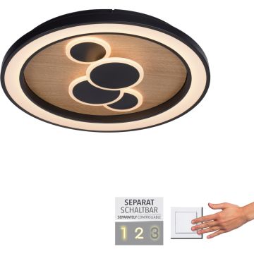 Lampă de tavan ELIZA 6284-79 3000k 1x63W/LED 6620lm ip20 de la Paul Neuhaus
