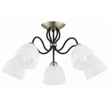 Lampă de tavan ARIEL 63428 5x15W/E27 de la Alfa
