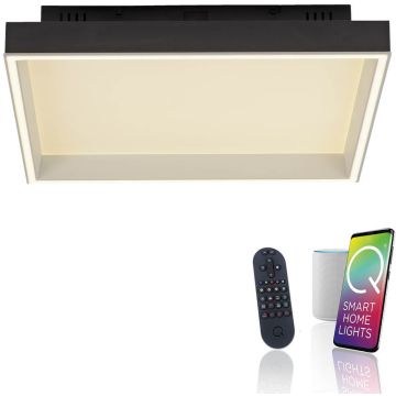 Lampă de tavan Q-MAGONG 6316-18 2700-5000k 1x40W/LED 5700lm ip20 de la Paul Neuhaus