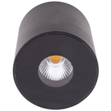 Lumină montată pe suprafață PLAZMA C0151 3000k 1x13w/led 572lm ip54 de la Maxlight