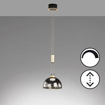 Lampă cu pendul Avignon 61013 2700K 1x9W/LED 1000 lm IP20 de la Fischer&Honsel