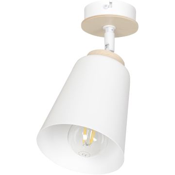 Spot ATLAS 724/1 1x60W/E27 IP20 de la Emibig