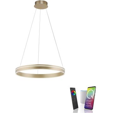 Lampă cu pendul Q-VITO 8411-60 2700-5000k 1x44W/LED 4550lm ip20 de la Paul Neuhaus