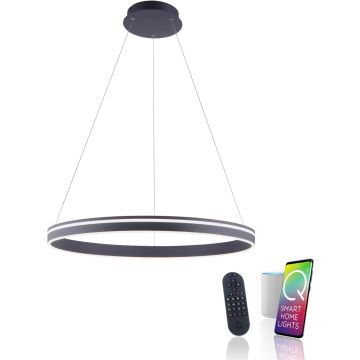 Lampă cu pendul Q-VITO 8412-13 2700-5000k 1x65W/LED 7000lm ip20 de la Paul Neuhaus