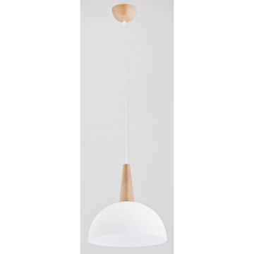 Lampă cu pendul ANJA 9626 1x60W/E27 de la Alfa