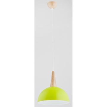Lampă cu pendul ANJA 9634 1x60W/E27 de la Alfa