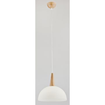 Lampă cu pendul ANJA 9648 1x60W/E27 de la Alfa