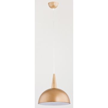 Lampă cu pendul ANJA 9649 1x60W/E27 de la Alfa