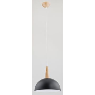 Lampă cu pendul ANJA 9650 1x60W/E27 de la Alfa