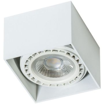 Lumină montată pe suprafață ECO ALEX AZ1835 1x50/40W/ES111/GU10 IP20 de la AZzardo