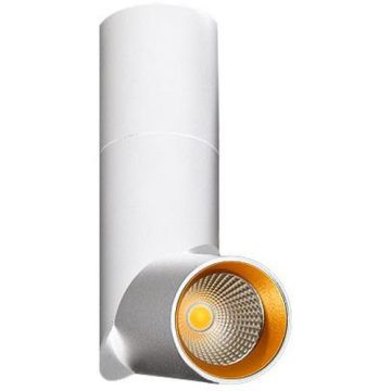 Spot SANTOS AZ2417 1x12W/LED 950LM de la AZzardo