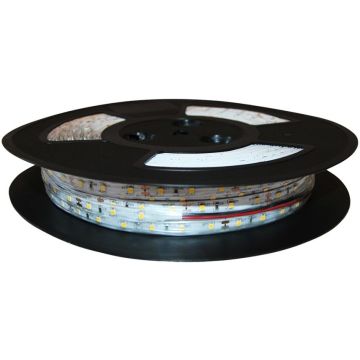 Bandă LED EKPL521 3000K 9,6W/m/LED IP20 de la Eko-Light