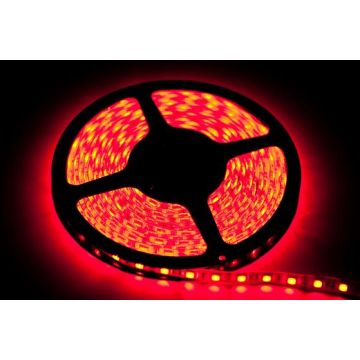 Bandă LED LED STRIP EKPL735 12W/250cm IP65 de la Eko-Light