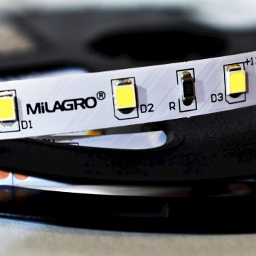 Bandă LED LED STRIP ML4747 24W/500cm IP20 de la Milagro