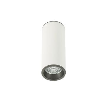 Lumină montată pe suprafață MOLDES SLC7391/7W 4000K WH+GR 1x7W/LED 450LM IP20 de la Italux