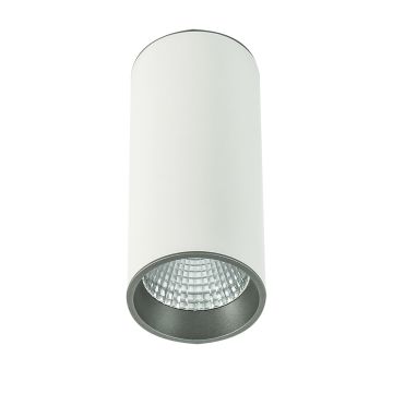 Lumină montată pe suprafață MOLDES SLC7392/12W 4000K WH+GR 1x12W/LED 820LM IP20 de la Italux