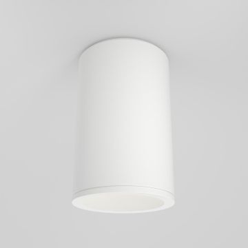 Lumină montată pe suprafață ZOOM C029CL-01-S-W 1x50W/GU10 IP65 de la Maytoni