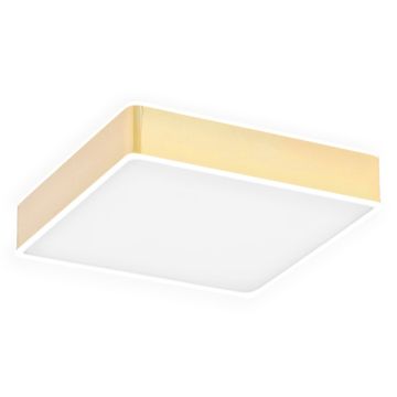 Lustră de tavan ATLANTIS 4051 3000K 1x32W/LED 3900LM IP20 de la Argon