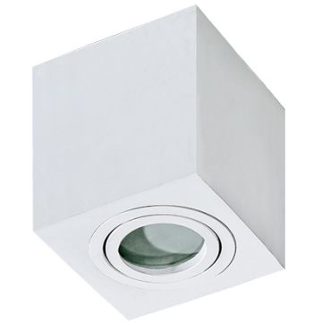 Lumină montată pe suprafață BRANT AZ2822 1x50W/GU10 IP44 de la AZzardo