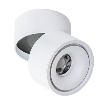 Lumină montată pe suprafață COSTA AZ6031 3000|4000|6000 1x12W/LED 720lm IP20 de la Azzardo