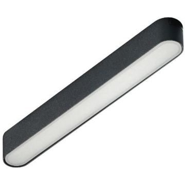 Proiector de șină GAMMA SANGRIA AZ5269 3000K 1x12W/LED 714LM IP20 de la AZzardo