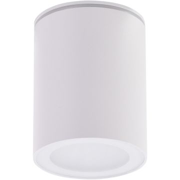 Lumină montată pe suprafață PAPIKO AZ4217 1x50W/GU10 IP65 de la AZzardo