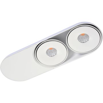 Lumină montată pe suprafață TORONTO AZ4072 3000K 2x10W/LED 1050LM IP20 de la AZzardo