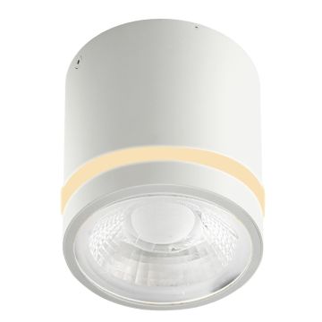 Lumină montată pe suprafață VICI AZ6040 3000|4000|6000 1x12W/LED 720lm IP44 de la Azzardo
